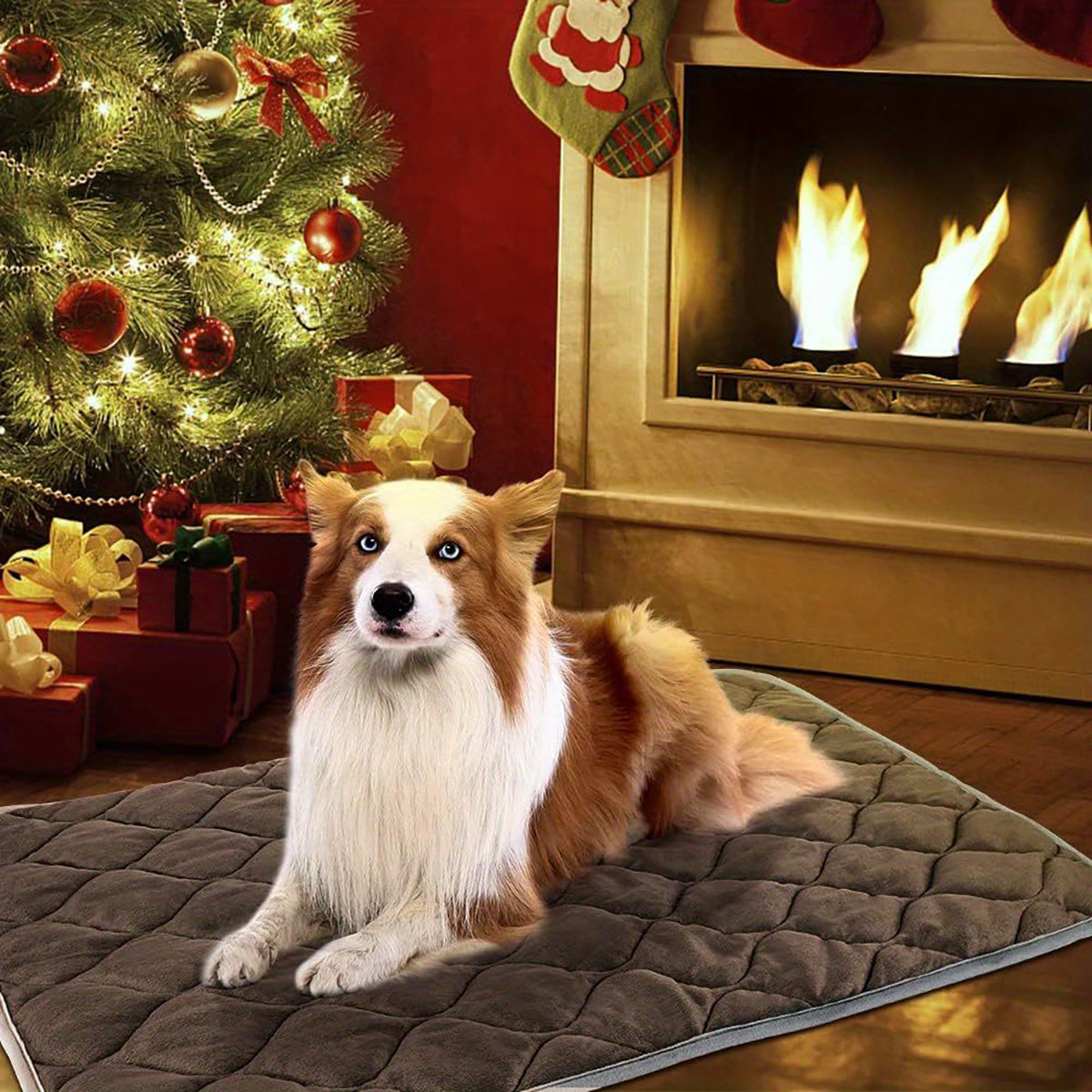 Dog & Cat Bed. Extra Warm Thermal. Washable Blanket Non-Slip Bottom.