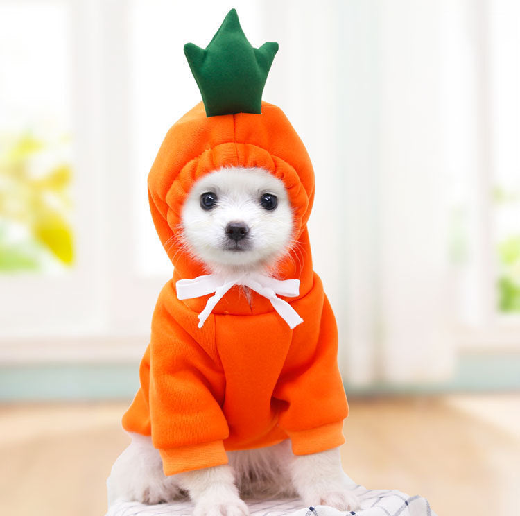 Cute Fruit Dog Clothes For Small Dogs.