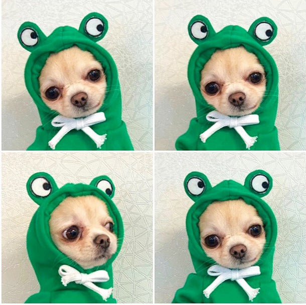 Cute Fruit Dog Clothes For Small Dogs.