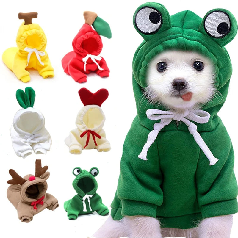 Cute Fruit Dog Clothes For Small Dogs.