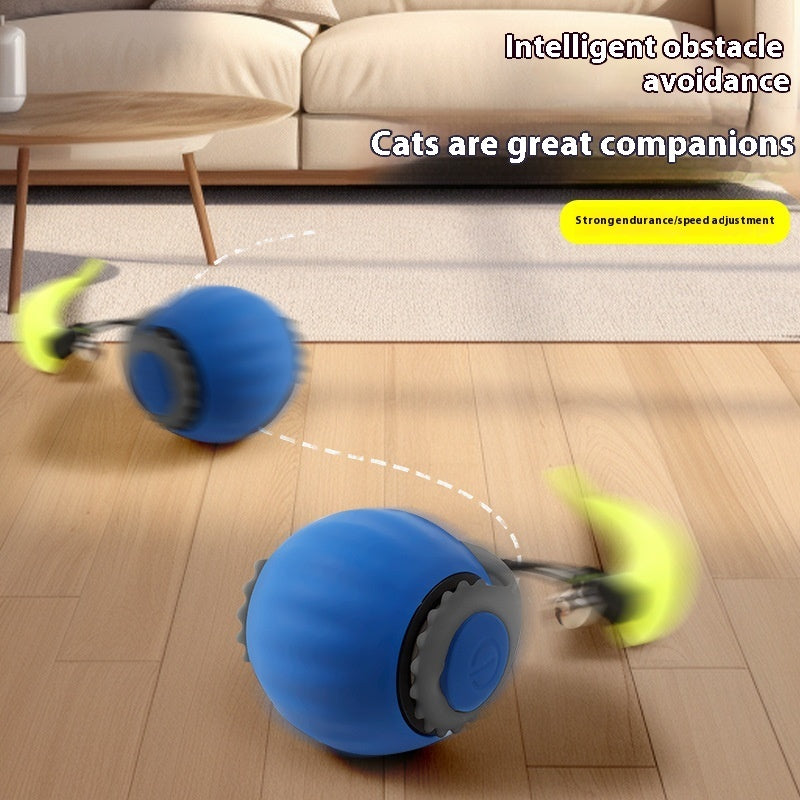 Pet Interactive Gravity Ball with Chaser tail.