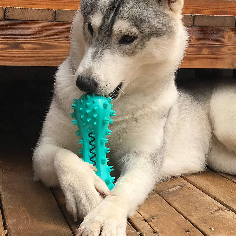 Green chew toy